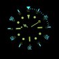 Steeldive Men's Dive Watch Black Dial 41.1MM NH35 Automatic Movt 200M Swiss C3 Luminous SD1958V