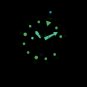 Steeldive CUSN8 Bronze 47.5MM Japan Automatic Movt Luminous 30ATM Mens Dive Tuna Watch SD1975S