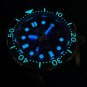 Steeldive One-Piece Case 46MM Green Dial Japan Automatic Mechancial Luminous Mens Dive Watch SD1968