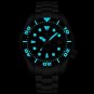Steeldive Green Dial Japan Automatic Movt Swiss BGW9 Luminous 20ATM Mens Turtle Dive Watch SD1971