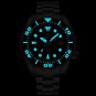 Steeldive Mens Turtle Dive Watch Swiss BGW9 Luminous Japan Automatic Mechanical Movt SD1971