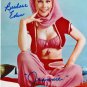 BARBARA EDEN "I Dream of Jeannie" signed autographed 4x6 Photo with COA