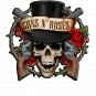 GUNS N ROSES Color Vinyl Decal Sticker Waterproof