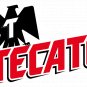 TECATE Beer Vinyl Decal Sticker Waterproof