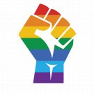 Gay Pride Color Vinyl Decal Sticker Waterproof