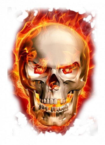 Flaming Skull Biker Color Vinyl Decal Sticker Waterproof