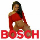 BOSCH TOOLS STICKER DECAL SEXY GIRL MECHANIC TOOLBOX SIGN CHEST USA