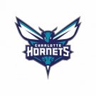 Charlotte Hornets NBA Team Color Vinyl Decal Sticker Waterproof