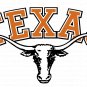 Texas Longhorns  Vinyl Decal Sticker Waterproof