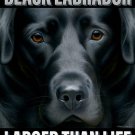 Black Labrador Larger Than Life Vinyl Decal Sticker Waterproof