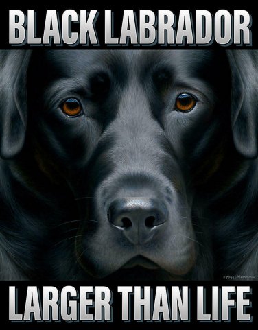 Black Labrador Larger Than Life Vinyl Decal Sticker Waterproof