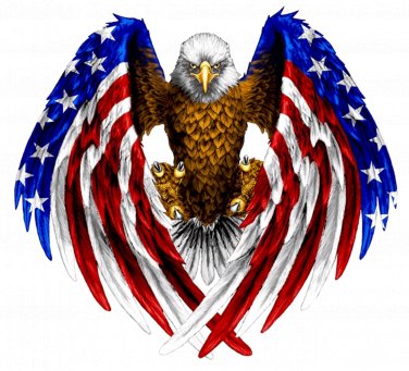 American Eagle Color Vinyl Decal Sticker Waterproof
