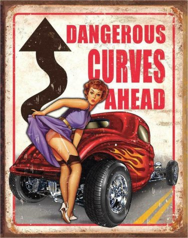Dangerous Curves Ahead Vinyl Decal Sticker Waterproof