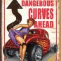 Dangerous Curves Ahead Vinyl Decal Sticker Waterproof