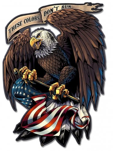 Eagle Holding Flag Vinyl Decal Sticker Waterproof