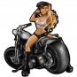 Motorcycle Girl  Vinyl Decal Sticker Waterproof