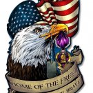 Purple Heart Eagle Flag Vintage Vinyl Decal Sticker Waterproof