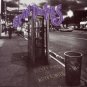 CD - Pocket Full of Kryptonite, Spin Doctors