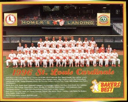 1996 St. Louis Cardinals Team photo card 8x10