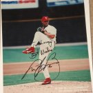 St. Louis Cardinals baseball Andy Benes 8x10 photo - signed (autographed)