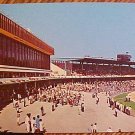 Postcard - St. Petersburg Derby Lane greyhound dog racing track, EX, name on back