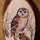 Beautiful Owl illustration on wood wall art - Snowy Owl?, Perfect condition