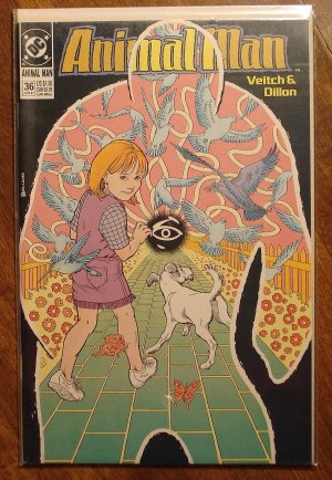 Animal Man #36 comic book - DC comics