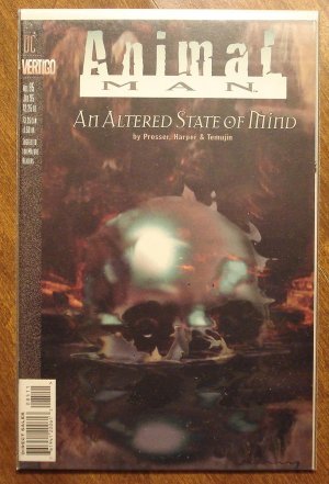 Animal Man #85 comic book - DC Vertigo comics
