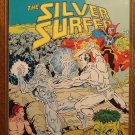 Silver Surfer Annual #5 comic book - Marvel Comics
