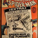 Marvel Comics - Amazing Spider-Man Annual #15 (B) 1981 comic book, spiderman F/VF w/ The Punisher!