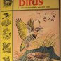 Birds - An Introduction to the World of Birds, 1st print 1969, softcover children's book