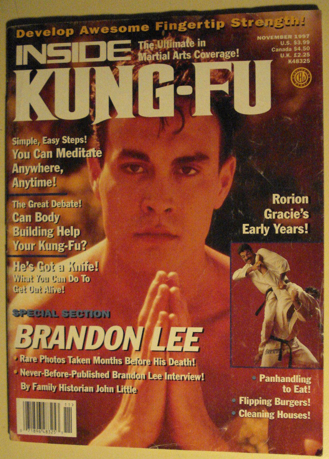 brandon lee kung fu