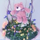 Gift Basket of Bear on a Swing.  Local delivery only.