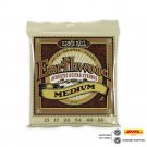 Ernie ball 2002 earthwood acoustic strings 13-56