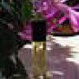 Romantic Musk Fragrance Perfume Oil - 1/3 oz roll-on bottle