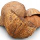 Coconut Shell Halves