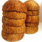 10 Coconut Shell 100% Natural Pure Eco Friendly Ceylon Coconut Shell Halves