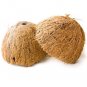 10 Coconut Shell 100% Natural Pure Eco Friendly Ceylon Coconut Shell Halves