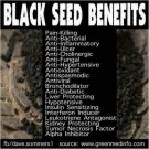 100% pure organic black seed nigella sativa Habbasyi Cumin kalonji 100gm