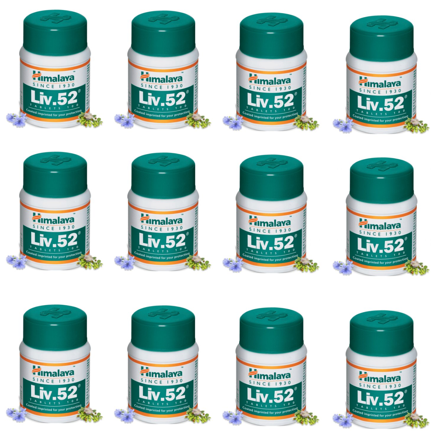 12 packs X Himalaya Herbals Liv.52 100 Tablets FREE SHIP