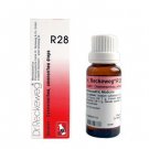 5 x dr reckeweg r 28 homeopathy medicine 22ml