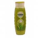 2X Patanjali Ayurveda Kesh Kanti Aloevera Hair Cleanser Shampoo - 200 Ml