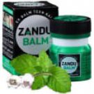 Zandu Balm ( 8 GM ) PAIN RELIEF