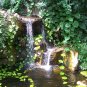 Water 1