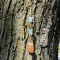 Natural Gemstone Lucky Charm / Car Rearview Mirror Charm