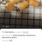Orange Geniune Agate Aventurine Copper Rose Chain Butterfly Pendant Choker