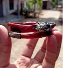 Genuine red crystal bahar root bracelet, dragon alpaca variation