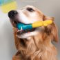 Summer Water-filled Freezable Cooling Dog Chew Toys Interactive Dog Toys Leaking Ball Dog Bite