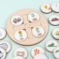 Life Cycle Board Montessori Kit Biology Science Education Toys For Kids