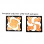 English Spanish rules jungle board game. jungle run fast pair speed forest for family party